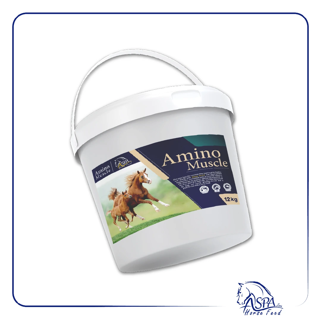 مکمل اسب Amino Muscle اسپازین