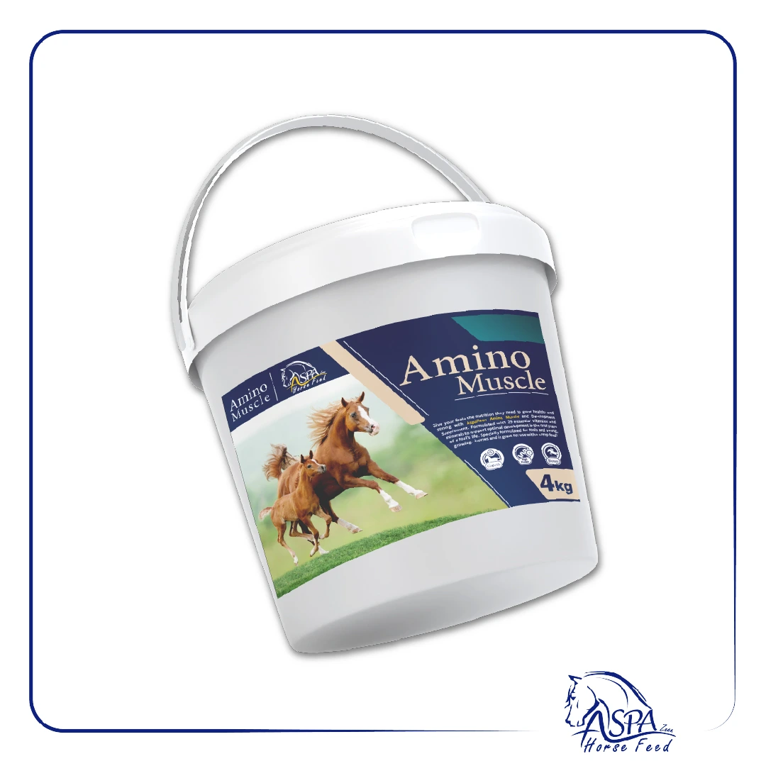 مکمل اسب Amino Muscle اسپازین