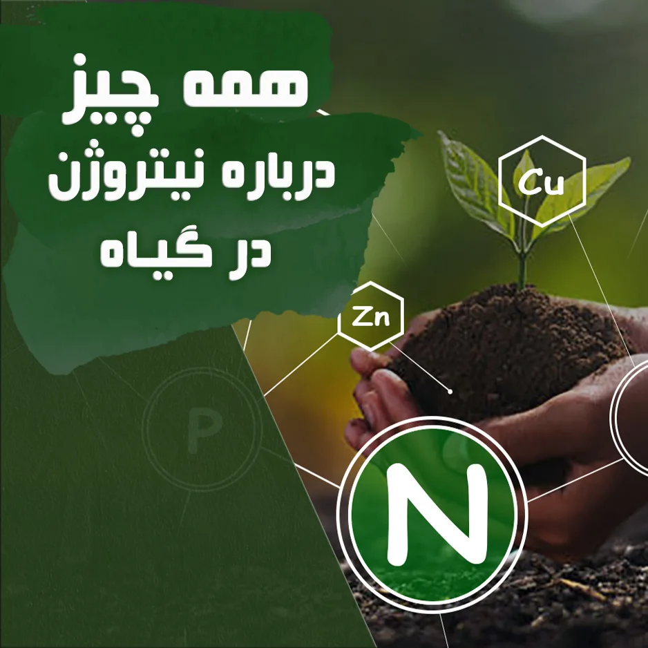 همه چیز درباره عنصر ازت (نیتروژن)