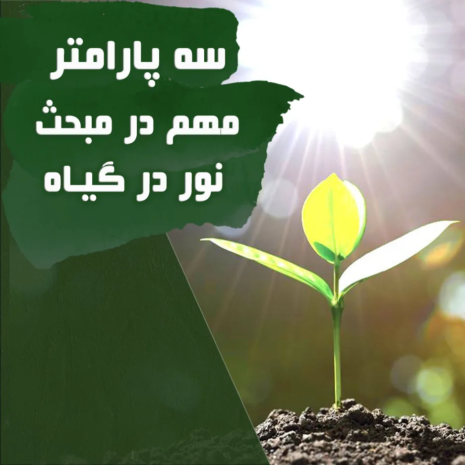بررسی ۳ پارامتر مهم در مبحث نور در گیاه