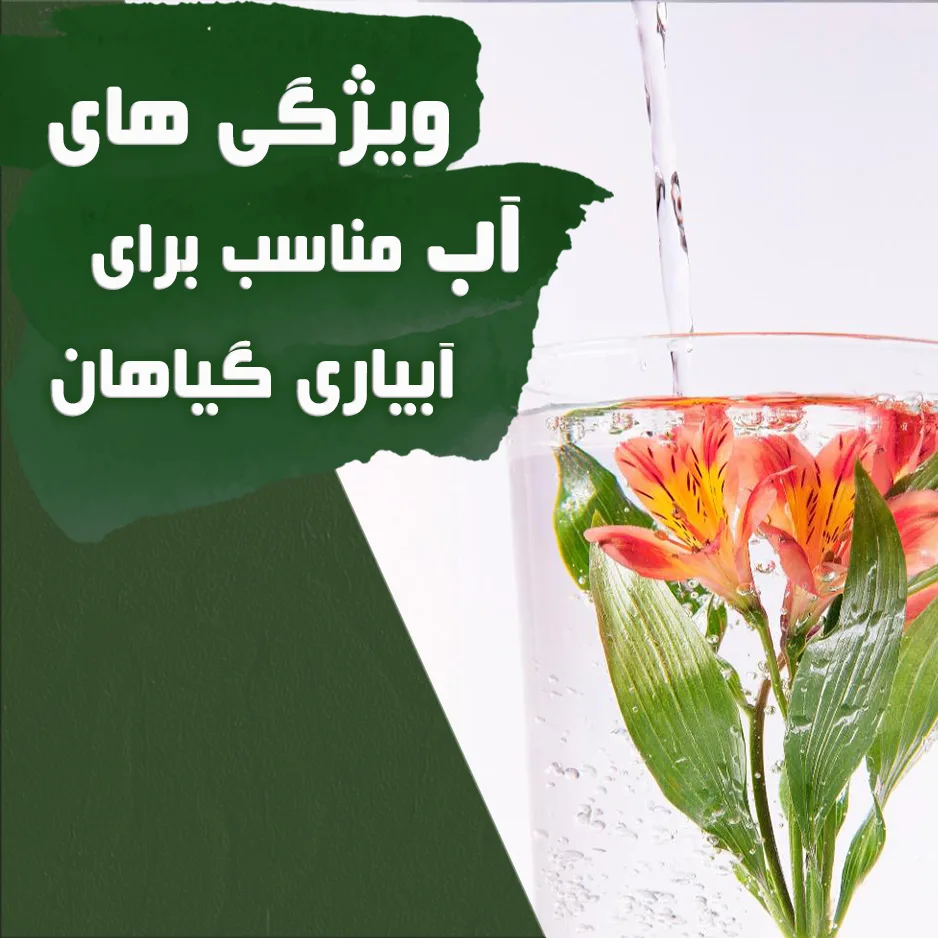 آب مناسب جهت آبیاری گیاهان