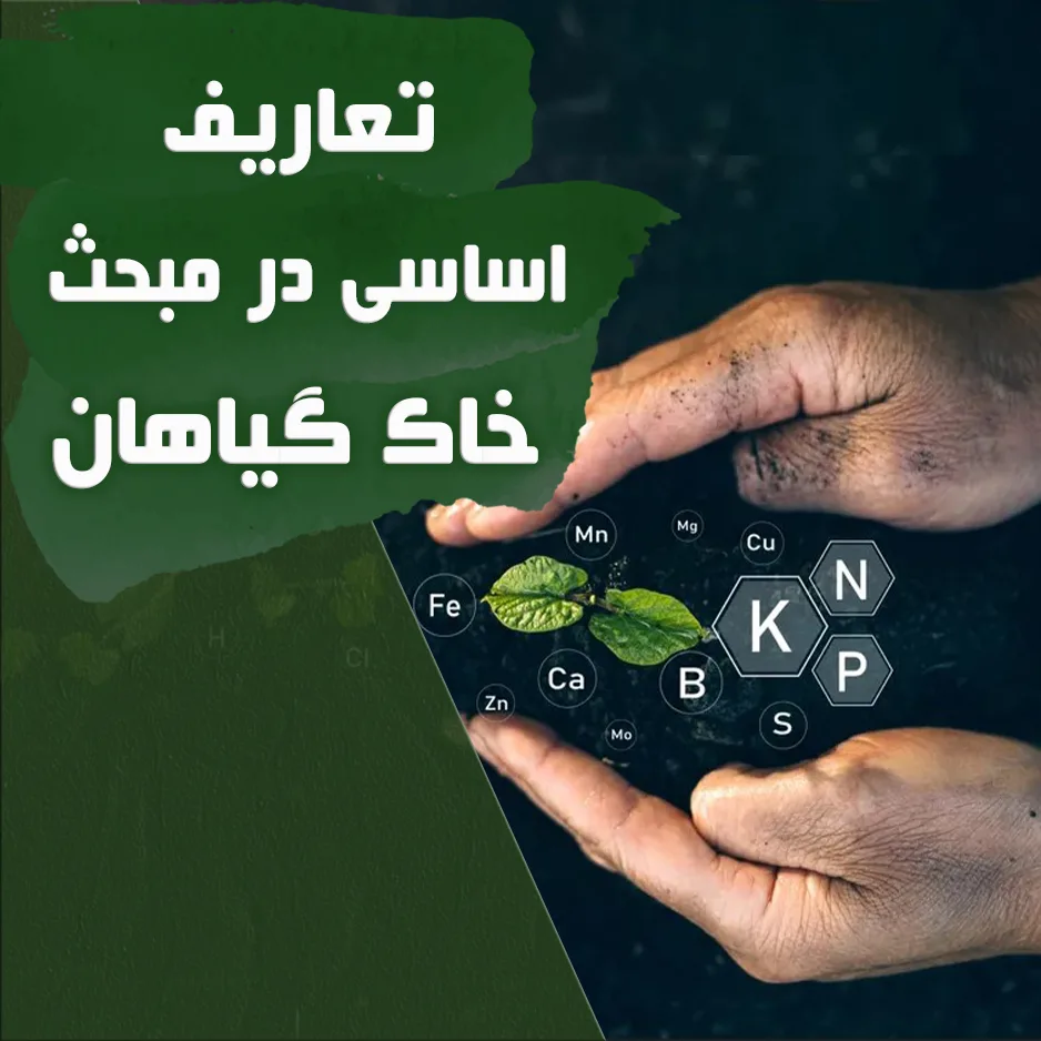 خاک گیاه