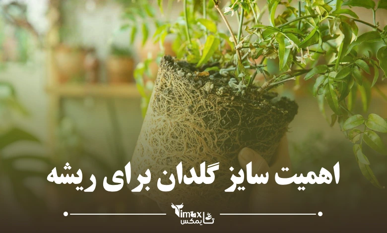 انتخاب گلدان مناسب