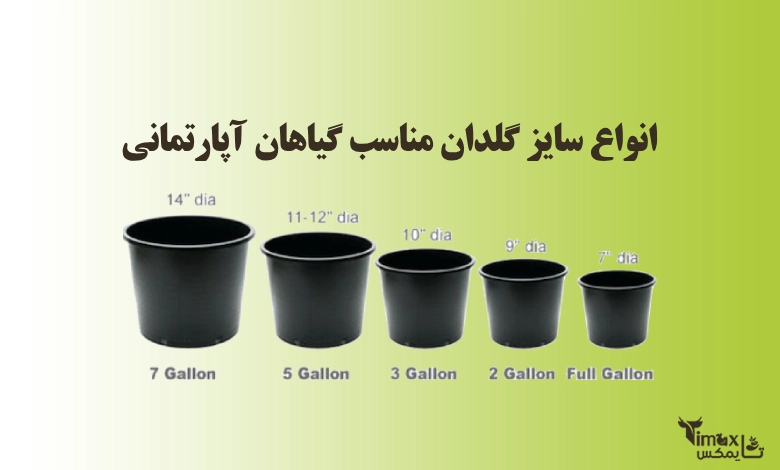 انواع سایز گلدان مناسب گیاهان آپارتمانی