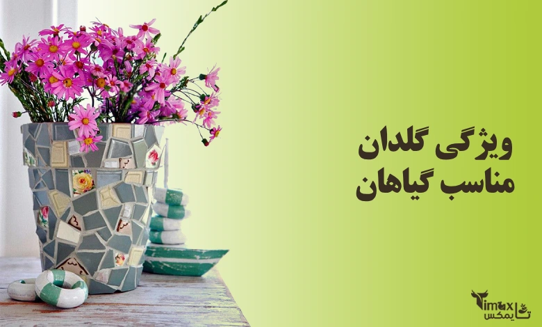 ویژگی گلدان مناسب گیاهان 