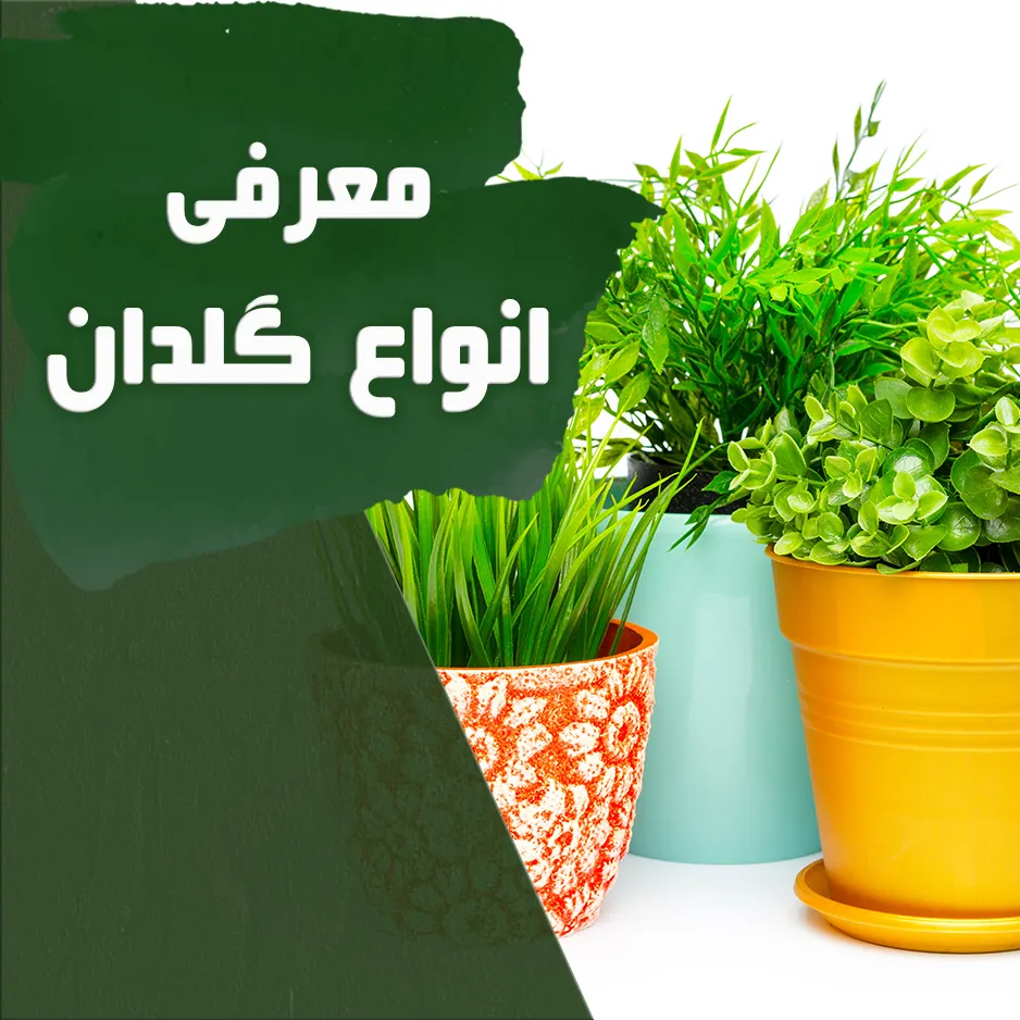 معرفی مزایا و معایب انواع گلدان