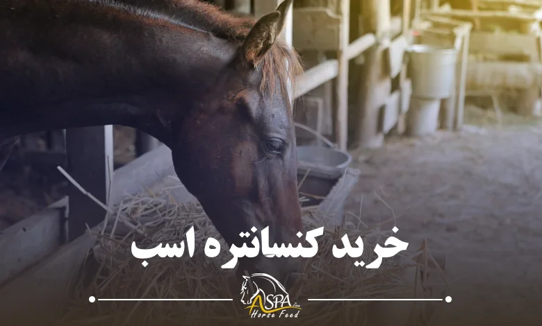 خرید کنسانتره اسب
