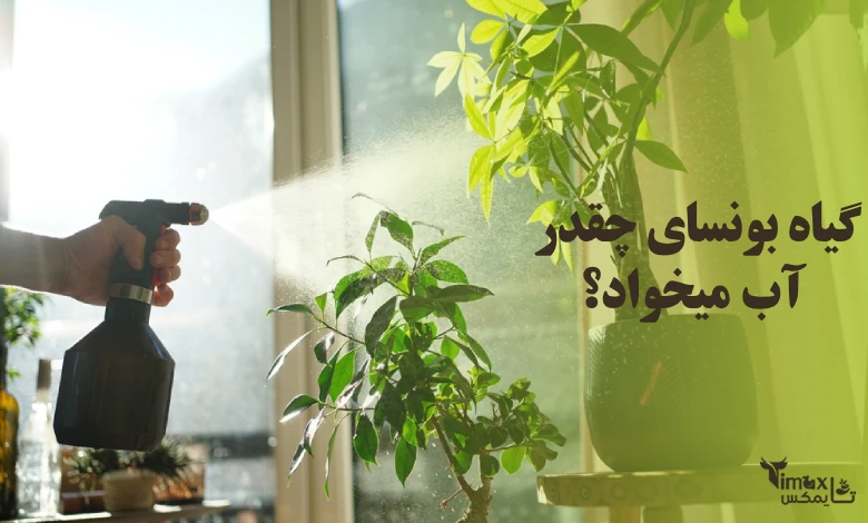 بونسای چقدر آب میخواد؟