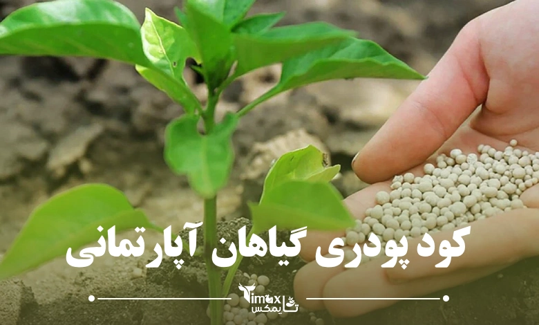 کود پودری گیاهان آپارتمانی