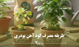 طریقه مصرف کود آهن پودری + جدول مقدار کود دهی آهن