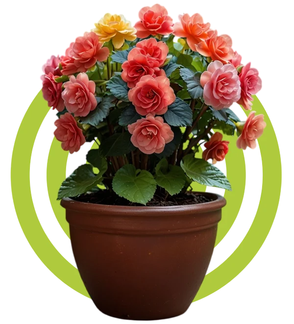 محصولات پرفروش تایمکس