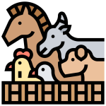 کنسانتره و مکمل دام و طیور تایمکس