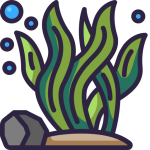 کودهای جلبک دریایی تایمکس